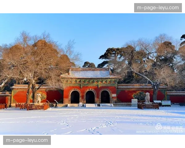 战术执行依赖实时阅读与反应 雷霆20层架构完善五外体系 战术执行依赖实时阅读与反应 雷霆20层架构完善五外体系